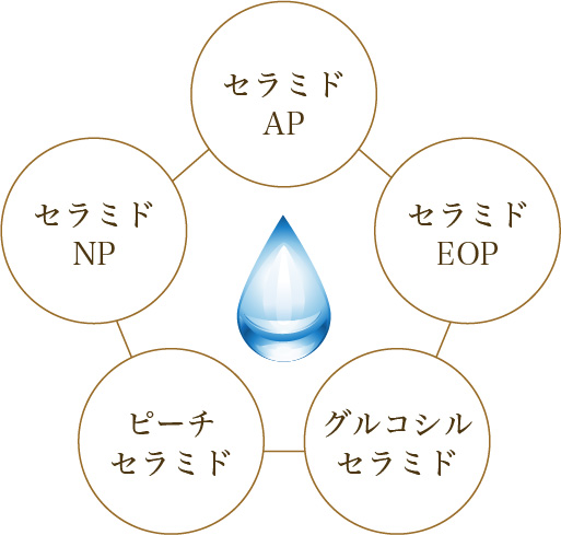 成分の画像