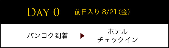 DAY0 前日入り 8/21（金）バンコク到着 ホテルチェックイン