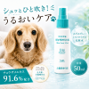チョウザメエキス配合のペットスキンケアミスト🐶🐱