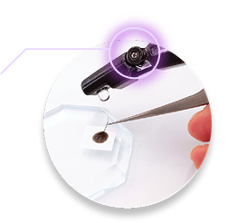 商品ヘッド部分