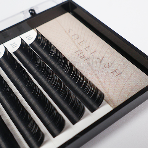 【T3】SOEL LASH Flat  CCカール