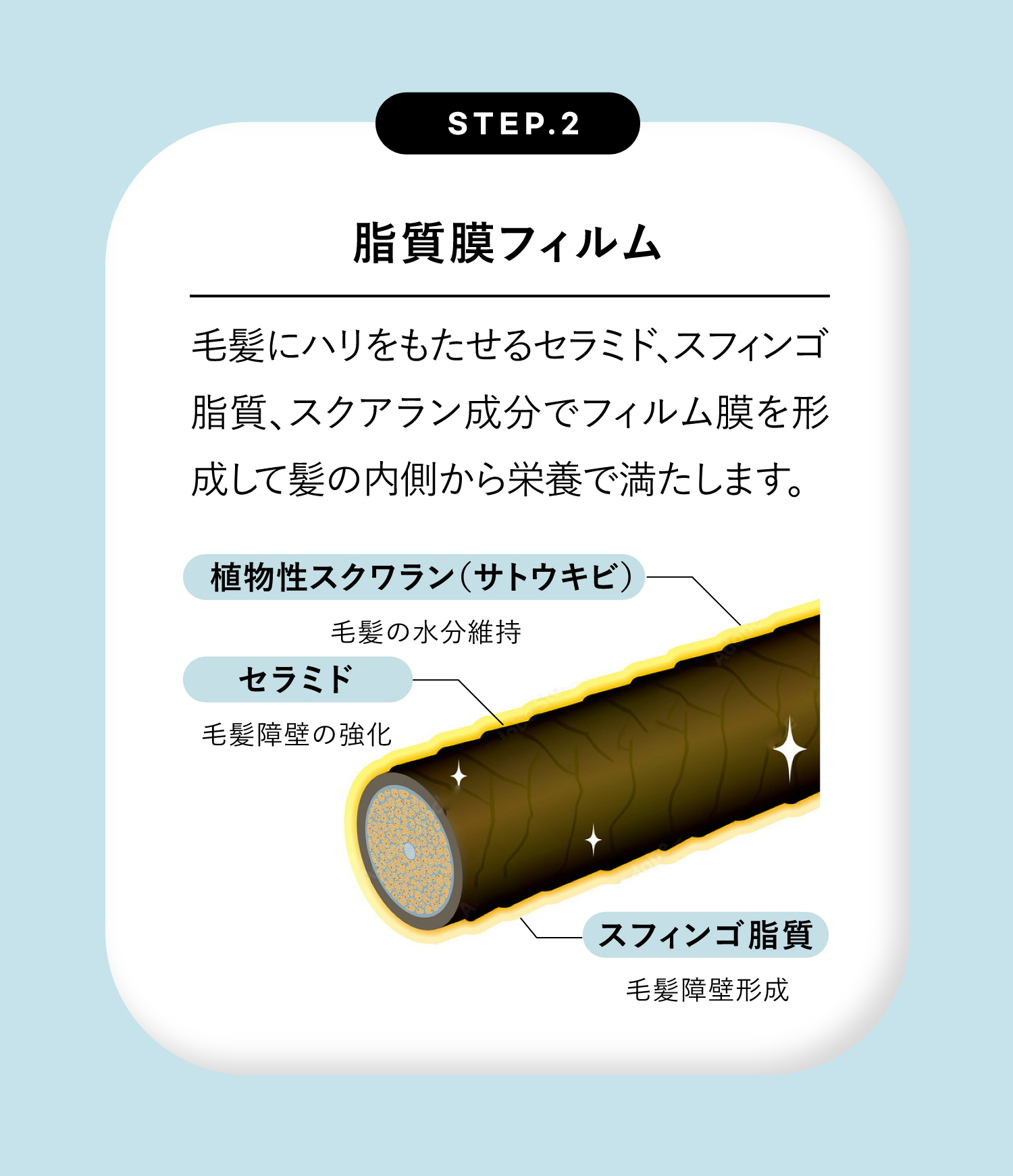 人気商品★3本セット★ネジュNejoo Don't Wash Treatment 再入荷決定！韓国アーティスト愛用NejooのDon't Wash Treatment